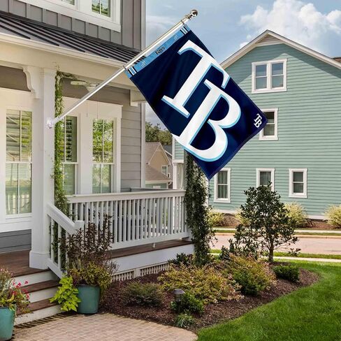 لافتة رأس مطبوعة من WinCraft Tampa Bay Rays مقاس 3×5 in Kuwait