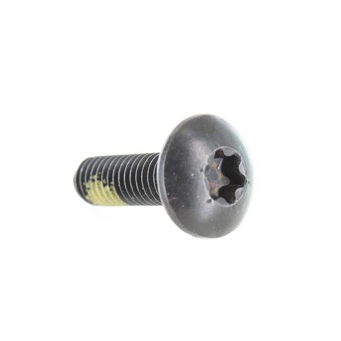 Can-Am New OEM Torx Truss Screw M6 x 20, 250000350 in Kuwait