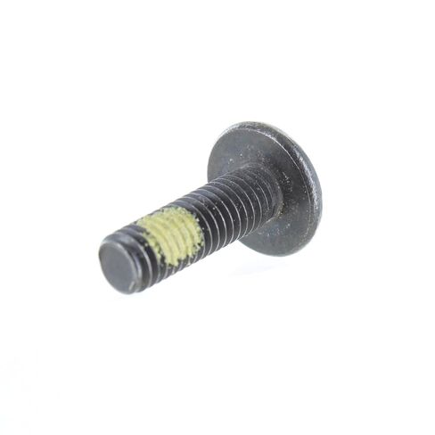 Can-Am New OEM Torx Truss Screw M6 x 20, 250000350 in Kuwait