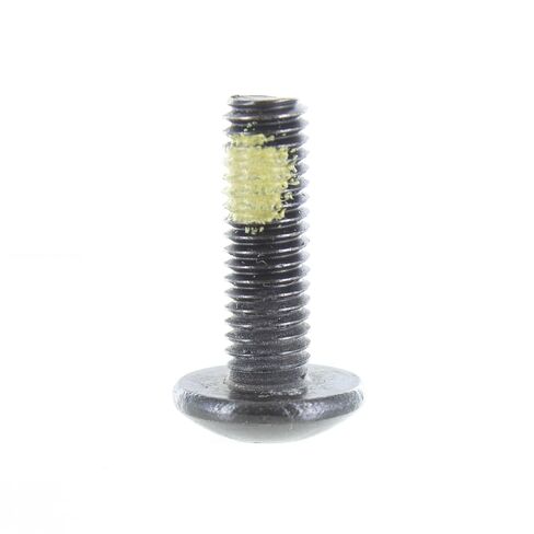 Can-Am New OEM Torx Truss Screw M6 x 20, 250000350 in Kuwait