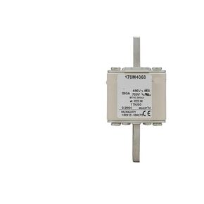 170M4066 170M4067 170M4068 170M4069 170M4108 Fast Fuse in Kuwait