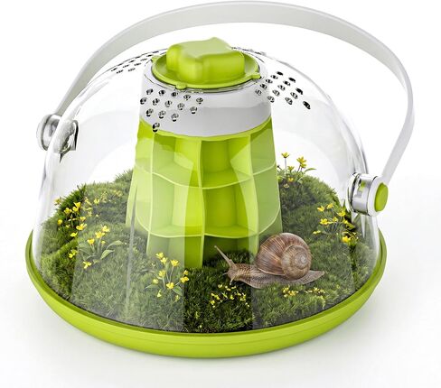 حاملة حيوانات صغيرة - طقم Terrarium Snail Snail الشفافة للأطفال ، وموائل الحشرات المحمولة مع فتحات فتحات الهواء ، والقاعدة والمقبض للقواقع ، والخنافس ، والعناكب ، والخنفساء in Kuwait