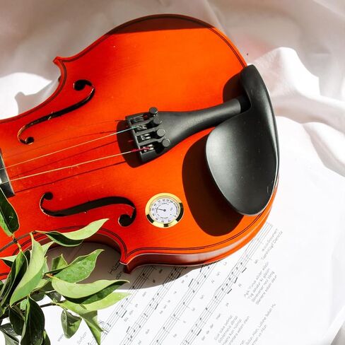 Round Hygrometer for Violin Guitar Case Compact Analog Humidity Meter for Musical Instrument Care and Accurate Humidity Monitoring in Kuwait