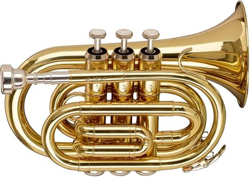 Stagg WS-TR245S Bb Pocket Trumpet l Brass Body l ML Bore l 7C Silver Plated Mouthpiece l Soft Case with Straps in Kuwait