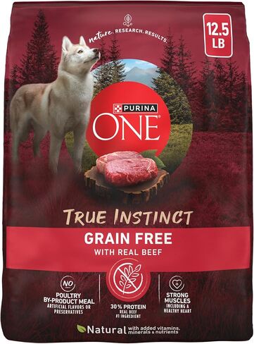 Purina ONE Grain Free Natural High Protein Dry Dog Food Formula True Instinct with Real Beef with Added Vitamins, Minerals and Nutrients - 12.5 Lb. Bag in Kuwait