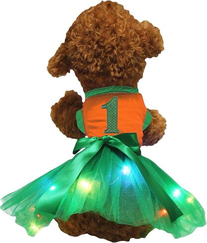 فستان Petitebella باللون الأخضر مزين بالترتر من 1st Puppy Dog (برتقالي/أخضر، مقاس XXX-Large) in Kuwait