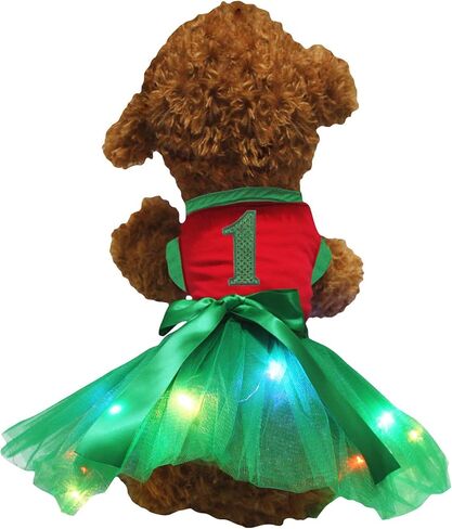 فستان Petitebella باللون الأخضر مزين بالترتر من 1st Puppy Dog (برتقالي/أخضر، مقاس XXX-Large) in Kuwait