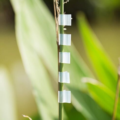 20pcs Horticultural Grafting Clips Made Of PP Tomato Cucumber Bean Vine Branches Grafting Tasks(2mm) in Kuwait