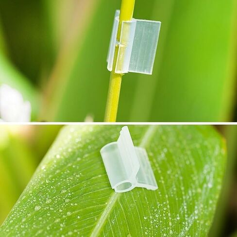 20pcs Horticultural Grafting Clips Made Of PP Tomato Cucumber Bean Vine Branches Grafting Tasks(2mm) in Kuwait