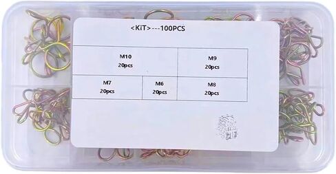 100pcs Hose Clamps Zinc Plated Spring Clips Gear Hose Fuel Line Clamps for Boats with Storage Box 6/7/8/9/10mm in Kuwait