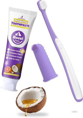 طقم أسنان الكلاب الصغيرة الموصى بها - فرشاة ناعمة وفرشاة الإصبع تزيل 99 ٪ من اللوحة ومعجون الأسنان الطبيعي بنكهة جوز الهند 2.5 أوقية. للتنفس الطازج in Kuwait