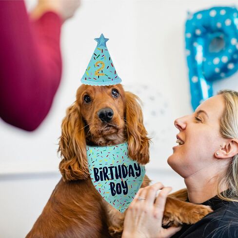 Birthday Dog Bandanas + Hat, Colorful HBD Dog Scarfs for Boy and Girl, Pet Scarves for Boy and Girl Bandanas for Small Medium Large Dogs (It's My Birthday, One Size) in Saudi Arabia