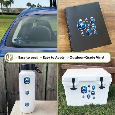 Desert Cactus French Football Federation Sticker Decal Vinyl FFF France Les Bleus Club Soccer Laptop Water Bottle Car Scrapbook (Type 3-1) in Kuwait