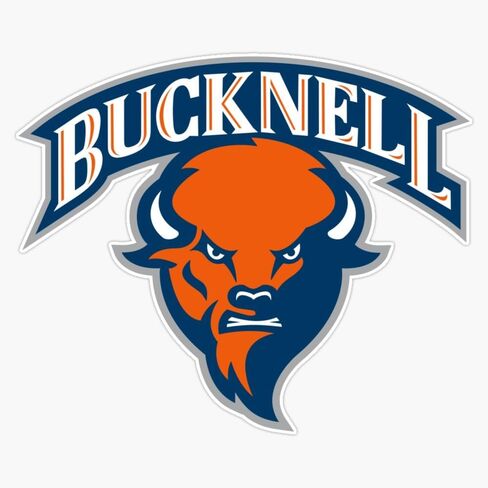 ملصق ممتص الصدمات بشعار Bucknell ملصق من الفينيل مقاس 5 بوصات in Kuwait