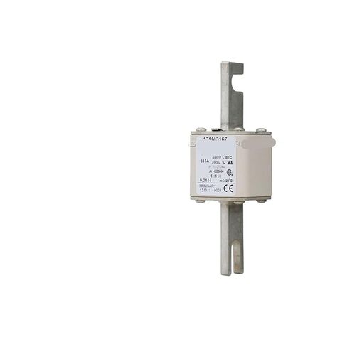 170M3164 170M3165 170M3166 170M3167 Quick Fuse in Kuwait