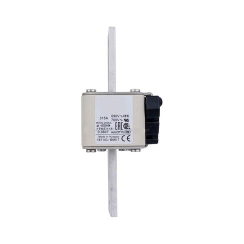 Fuse 170M4613 170M4614 170M4619 170M4660 170M4661 in Kuwait