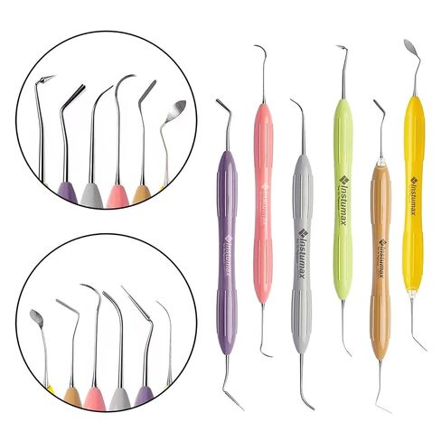 6-Piece Composite Placement Instrument Set – Non-Stick Silicone Handle Plugger, Spatula & Condenser – Stainless Steel Dental Filling & Restorative Kit (Autoclavable) in Kuwait