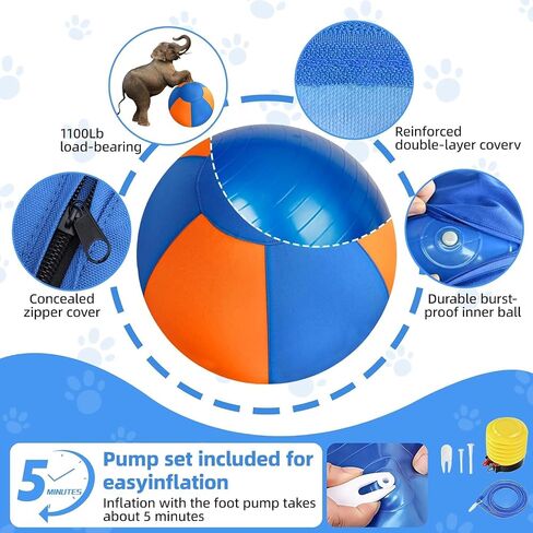 2-in-1-infective toys-لعبة ليزر Cat تلقائيًا مع ريشة ، تلمس لعبة هريرة تنشيط ، ألعاب تخصيب القطط القابلة لإعادة الشحن ، للقطط الداخلية بالملل in Kuwait
