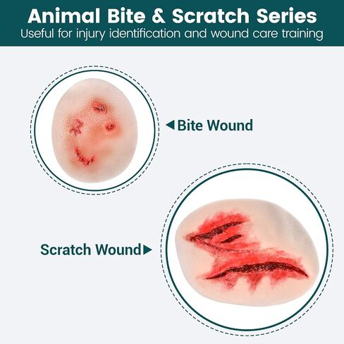 Adhesive Silicone Trauma Simulation Training Kit | Realistic Wound Moulage Kit for EMT, Nursing, First Aid and Emergency Response Training in Kuwait