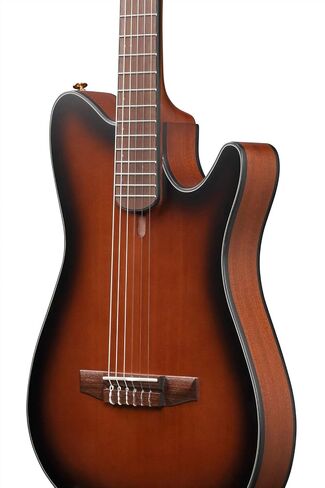 Ibanez FRH10N Thinline Nylon Acoustic-electric Guitar - Brown Sunburst in Saudi Arabia