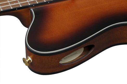 Ibanez FRH10N Thinline Nylon Acoustic-electric Guitar - Brown Sunburst in Saudi Arabia