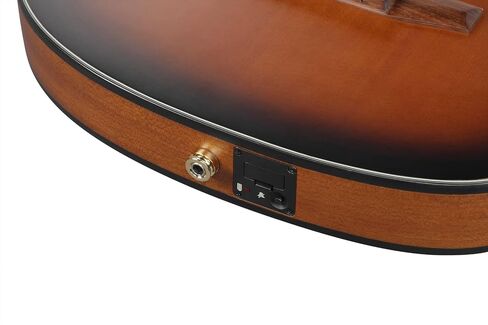Ibanez FRH10N Thinline Nylon Acoustic-electric Guitar - Brown Sunburst in Saudi Arabia