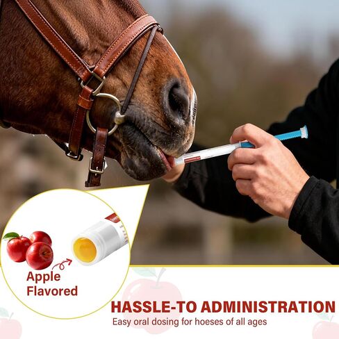 Horse Paste 1.87% – 12 Pack (6.08g Each) Apple Flavored Oral for Horses in Kuwait