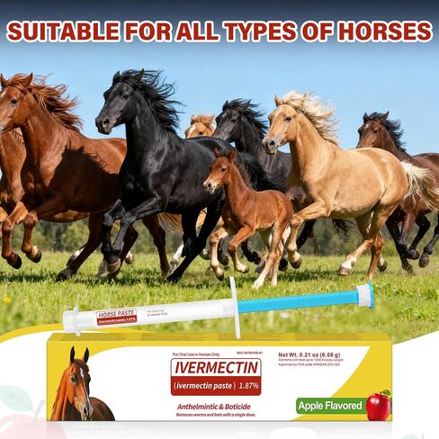 Horse Paste 1.87% – 12 Pack (6.08g Each) Apple Flavored Oral for Horses in Kuwait