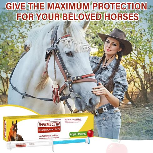 Horse Paste 1.87% – 12 Pack (6.08g Each) Apple Flavored Oral for Horses in Kuwait