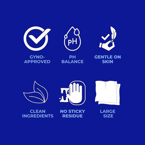 Body Wipes for Adults Extra Large – Disposable Washcloths for Bath & Shower, Wet Adult Wipes, Personal Cleansing Wipes – 12 Packs in Kuwait