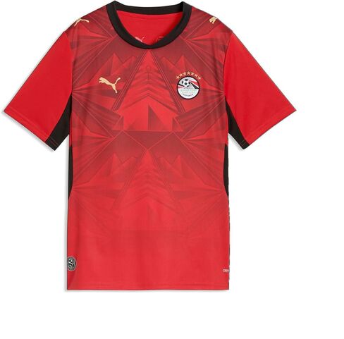 نسخة طبق الأصل من قميص PUMA Junior Egypt FA الرئيسي in Kuwait