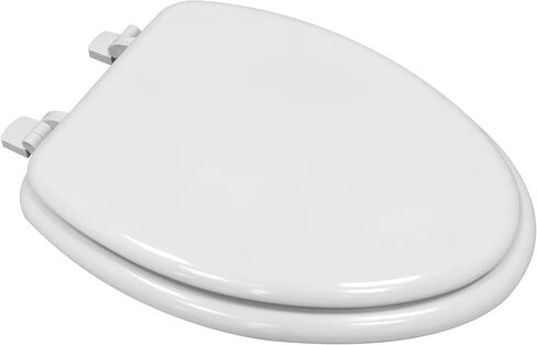 Elongated Toilet Seat in White in Kuwait