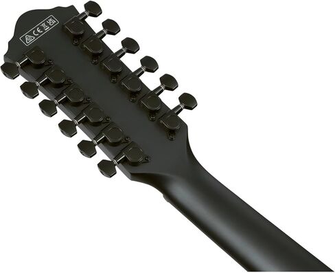 Ibanez AEG1221 Black Out Acoustic Electric Guitar with Spruce Top in Kuwait