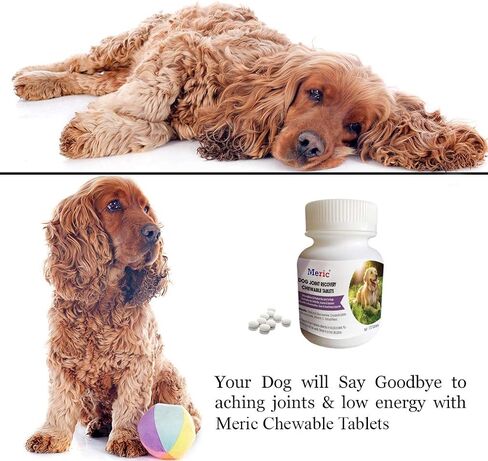 CoCoo Dog, Ferret & Rabbit Glucosamine، أقراص قابلة للمضغ لتعافي المفاصل، 170 قرصًا منكهًا، تعمل على تحسين المرونة والحركة in Kuwait