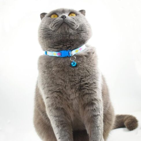 Cute Cat Collar with Bells, Set of 6, Adjustable Mixed Colors & Safe Nylon Kitten Collars for Kitty Puppy 7.5-12in (Bone) in Saudi Arabia