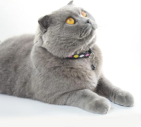 Cute Cat Collar with Bells, Set of 6, Adjustable Mixed Colors & Safe Nylon Kitten Collars for Kitty Puppy 7.5-12in (Bone) in Saudi Arabia