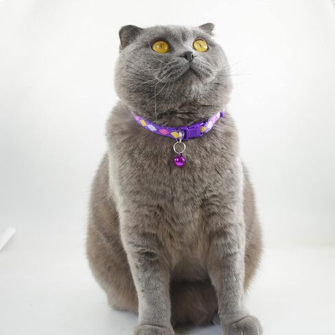 Cute Cat Collar with Bells, Set of 6, Adjustable Mixed Colors & Safe Nylon Kitten Collars for Kitty Puppy 7.5-12in (Bone) in Saudi Arabia