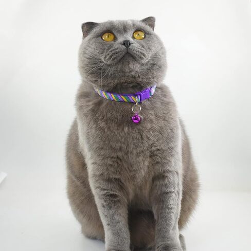 Cute Cat Collar with Bells, Set of 6, Adjustable Mixed Colors & Safe Nylon Kitten Collars for Kitty Puppy 7.5-12in (Bone) in Saudi Arabia