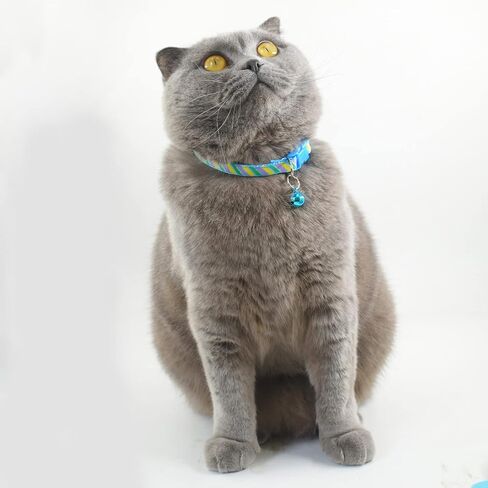 Cute Cat Collar with Bells, Set of 6, Adjustable Mixed Colors & Safe Nylon Kitten Collars for Kitty Puppy 7.5-12in (Bone) in Saudi Arabia
