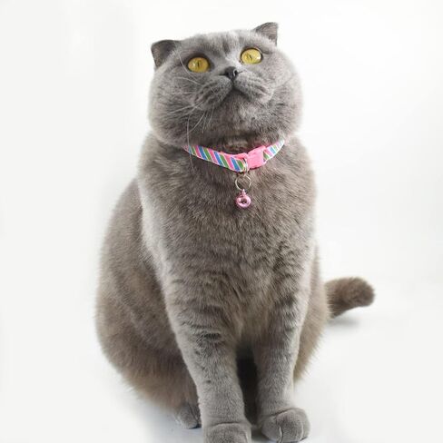 Cute Cat Collar with Bells, Set of 6, Adjustable Mixed Colors & Safe Nylon Kitten Collars for Kitty Puppy 7.5-12in (Bone) in Saudi Arabia