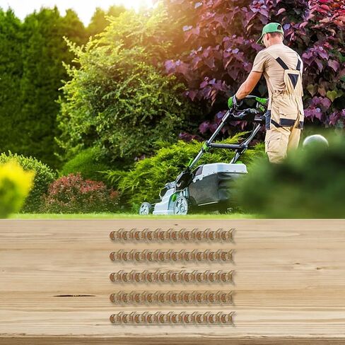 مجموعة مشابك خط الوقود 1/4 بوصة خرطوم زنبركي، مثبتات معدنية لجزازات العشب والجرارات والمولدات ومنفاخ الثلج والدراجات النارية والمحركات الصغيرة، عبوة من 50 قطعة in Kuwait