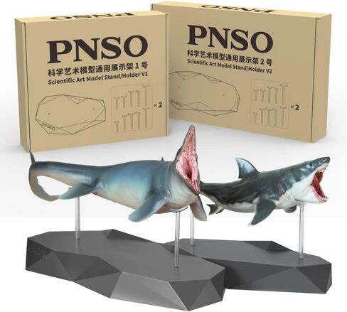 مجموعة حامل/حامل نموذج فني علمي من PNSO مكونة من قطعتين in Kuwait