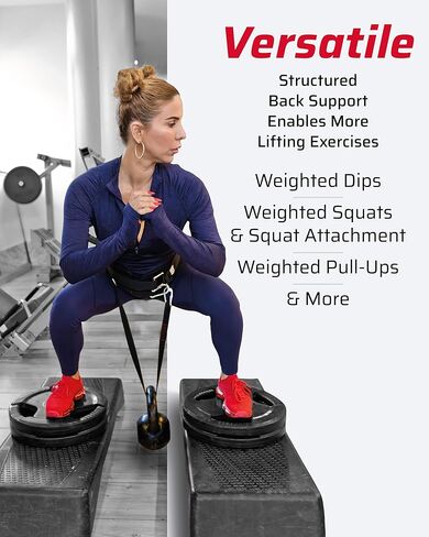 THEFITGUY أحزمة تحميل الدمبل بالإضافة إلى حزام الغمس النهائي وملحقات الكابلات، حزمة أحزمة الصالة الرياضية in Kuwait