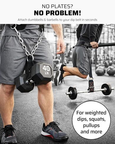 THEFITGUY أحزمة تحميل الدمبل بالإضافة إلى حزام الغمس النهائي وملحقات الكابلات، حزمة أحزمة الصالة الرياضية in Kuwait