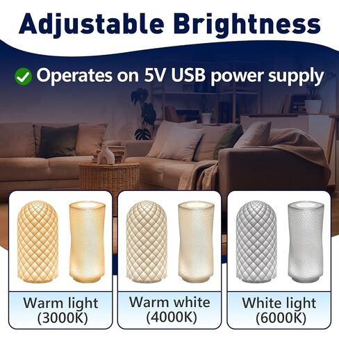 6PCS Led Lamp Kit 001 Three Colors Compatible with Bambu Lab H2S/P2S/P1P/A1 Makerworld 3D Prints, 3000K 4000K 6000K Light, 5V USB Powered DIY Hardware Spare Parts in Kuwait