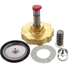 ALLIANCE LAUNDRY SYSTEMS Alliance Kit Valve Rebuild (3/4) (F8379502) in Saudi Arabia