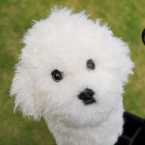 Craftsman Golf Realistic Bichon Dog Driver Headcover Funny Golf Club Covers Lifelike Stuffed Animal Golf Head Covers for Drivers in Kuwait