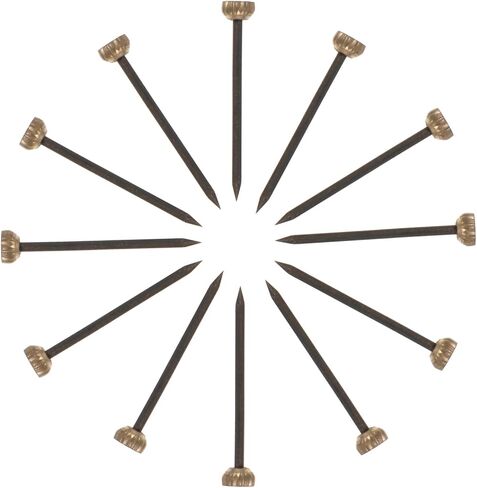 Gadpiparty 60Pcs Copper Picture Nails for Hanging Pictures and DIY Crafts Lightweight Head Studs 0.98In for Drywall Fixing with Storage Box in Kuwait