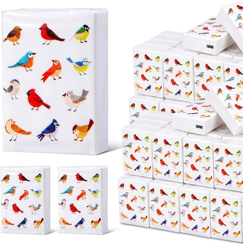 Tinlade 50 Pcs 2026 VBS Church Pocket Tissues Gifts Welcome to Our Church Pocket Tissues Bulk Sunday School Christian Bible Verse Travel Packs 3 Ply Mini Travel Size for Religious Party Favor in Kuwait