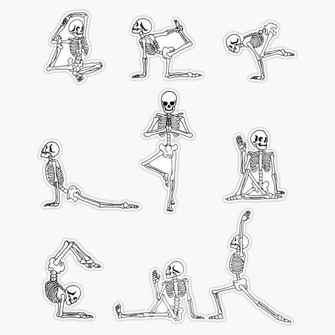 Yoga Skeleton Funny Yoga Positions Halloween Gift Sticker Vinyl Bumper Sticker Decal Waterproof 5 Inch, EVAN-YOGA-STICKERS-1037 in Kuwait